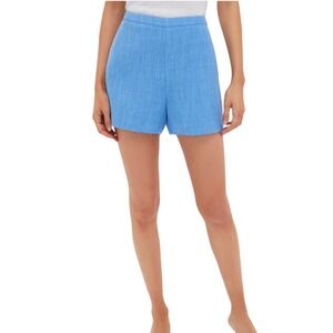Hyacinth House Braxton Sky‎ Blue Textured High Waist Shorts - Size Large NEW